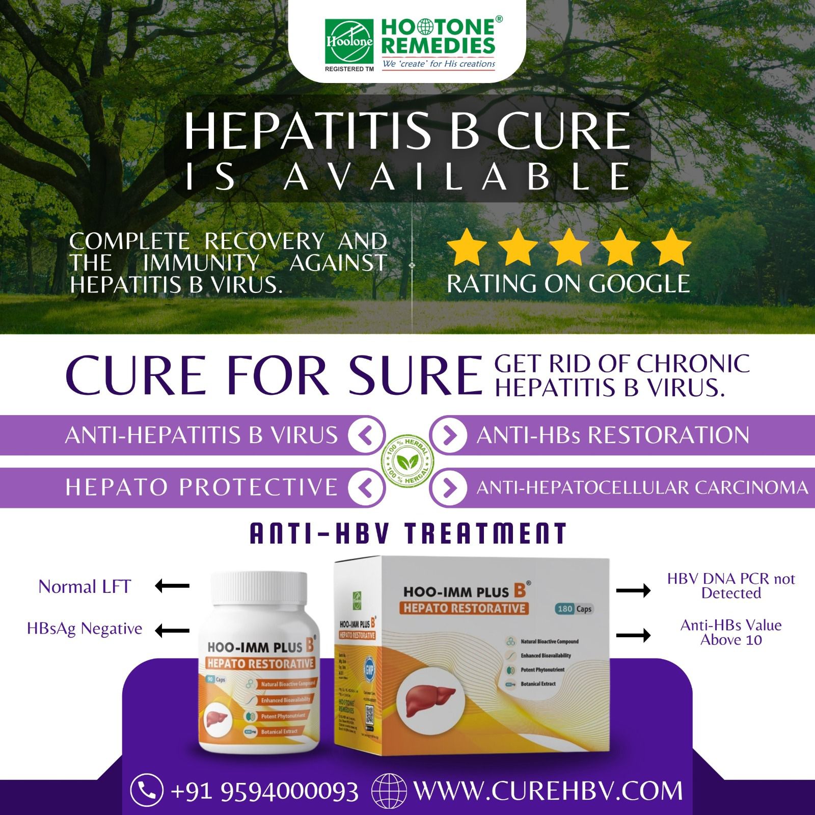 HOO-IMM PLUS B — Hepatitis B Cure is Available